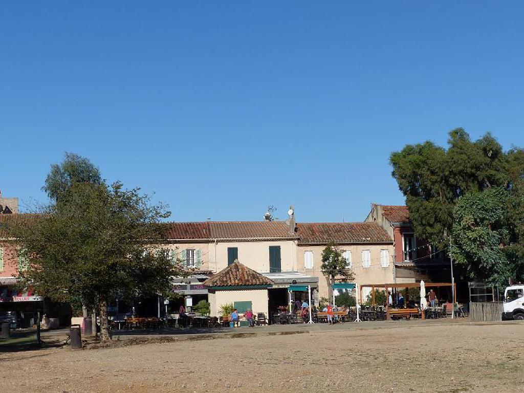 183 ILE DE PORQUEROLLES -4_000013.jpg